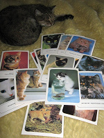 Отдается в дар Набор открыток с кошками
