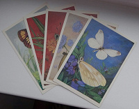 Отдается в дар Бабочки на открытках.