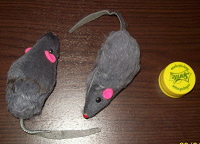 Отдается в дар 2 мыши для кошек