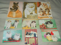 Отдается в дар открытки и календарики с кошками))