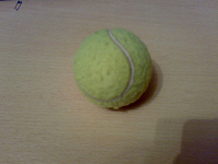 Отдается в дар теннисный мячик