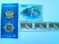 Отдается в дар Марочки