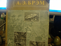 Отдается в дар книга А.Э.Брем " Жизнь животных" т. 3.