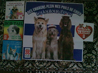 Отдается в дар Плакат и карточки с собаками