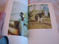 Отдается в дар Книги о животных