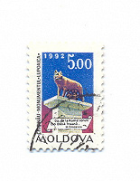 Отдается в дар Марка Молдавия 1992 год