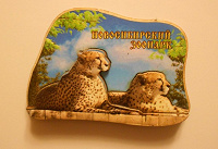 Отдается в дар Магниты Новосибирск-Бердск для коллекционеров