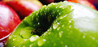 Отдается в дар отдушка -зеленое яблоко-для мыловаров
