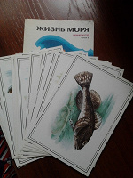 Отдается в дар набор открыток ,, Жизнь моря,, времен СССР