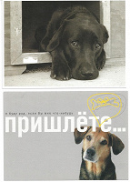 Отдается в дар Рекламные открытки с собаками