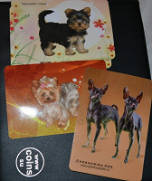 Отдается в дар Календарики карманные с собаками 2012