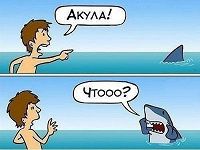 Отдается в дар Акулаа..:D