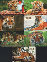 Отдается в дар Тигры 2010!