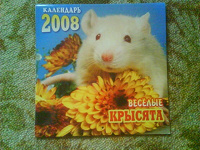 Отдается в дар Настенный календарь с крысятами