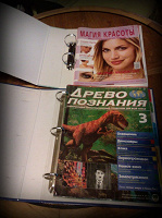 Отдается в дар плотные картонные папки
