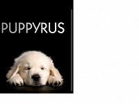 Отдается в дар CD Live диск ОС Puppyrus (Linux)