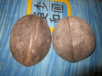 Отдается в дар кокосовая скорлупа