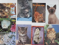 Отдается в дар Календарики — коти і шевченкіана
