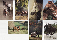 Отдается в дар Серия календариков с лошадьми (2013)