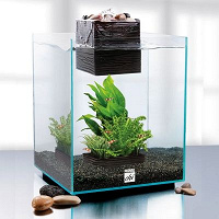 Подарок Fluval Chi — дизайнерский нано-аквариум