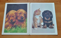 Отдается в дар открытки с животными