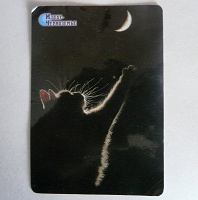 Отдается в дар Календарик с котяткой (2011 год).