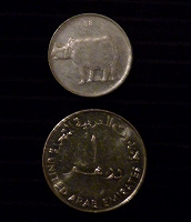Отдается в дар 1 дирхам 2005 г. Арабских Эмиратов и носорог на монете Индии в 25 пайсов 1988 г.