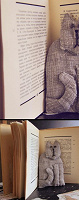 Отдается в дар котик книжный