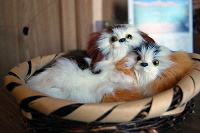 Собаки в корзинке