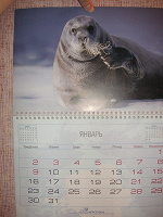 Отдается в дар Настенный перекидной календарь за 2006 год