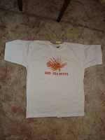 Отдается в дар 2 Ебипетские футболки