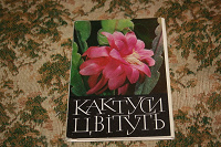 Отдается в дар Набор открыток «Кактуси цвітуть»