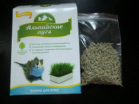 Отдается в дар травка для попугайчика=)