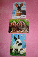 Отдается в дар кролики наступают — календарики