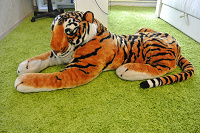 Отдается в дар Тигр двухметровый