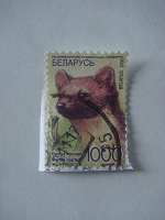 Отдается в дар почтовые марки Беларуси с животными