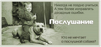 Отдается в дар Психолог для собаки