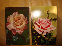 Отдается в дар Цветы на открытках