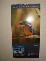 Отдается в дар Настенный календарь «Птицы мира» 2012 год