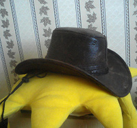 Отдается в дар ковбойская шляпа