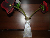 Отдается в дар Маленькая вазочка с искусственными цветами