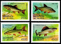 Отдается в дар Редкие виды рыб водоемов Беларуси