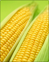 Отдается в дар кукуруза