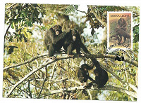 Отдается в дар КМ с обезьянами
