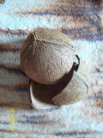 Отдается в дар кожура от кокоса