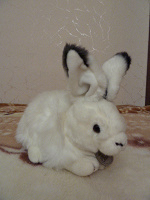 Отдается в дар Кролик игрушечный (мягкий, белый и пушистый)