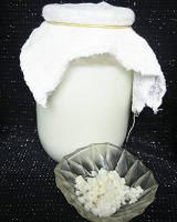 Отдается в дар Кефирный гриб — 2 (или молочный Тибетский гриб)
