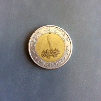 Отдается в дар Египетский фунт