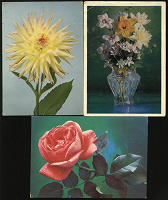 Отдается в дар открытки Цветы