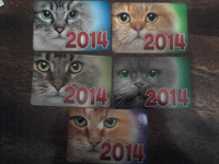 Отдается в дар календарики с котятами 2014